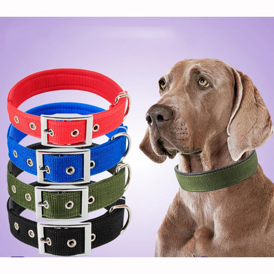 Adjustable Nylon Dog Collar – Durable Buckle Collar for Small, Medium & Large Breeds