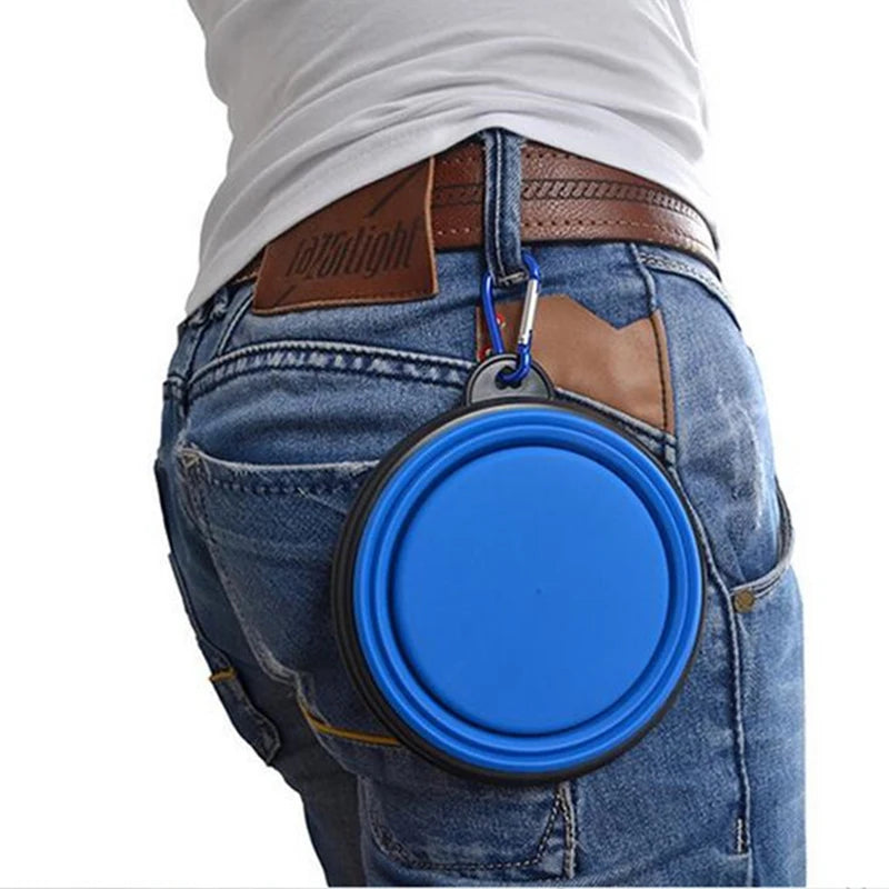 2-in-1 Collapsible Silicone Pet Bowl with Carabiner – Travel Food & Water Feeder for Dogs & Cats