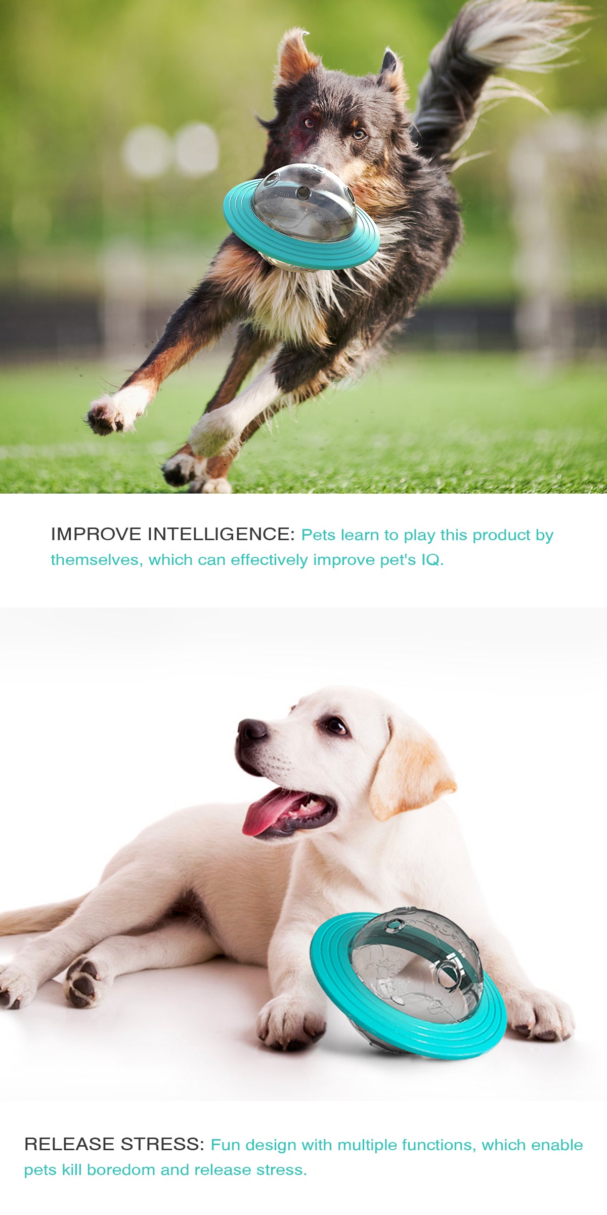 Interactive Dog treat ball - IQ Training puzzle toy (Small & Large Dogs)