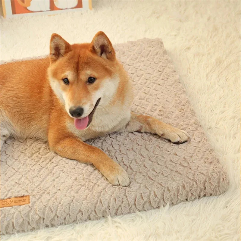 Orthopadic Memory foam Pet bed, waterproof, Washable Faux fur cover for Dogs & Cats