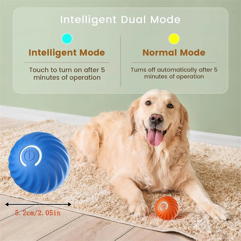 Smart Interactive Dog & Cat Toy Ball – USB Rechargeable & Motion-Activated
