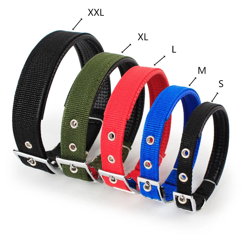 Adjustable Nylon Dog Collar – Durable Buckle Collar for Small, Medium & Large Breeds