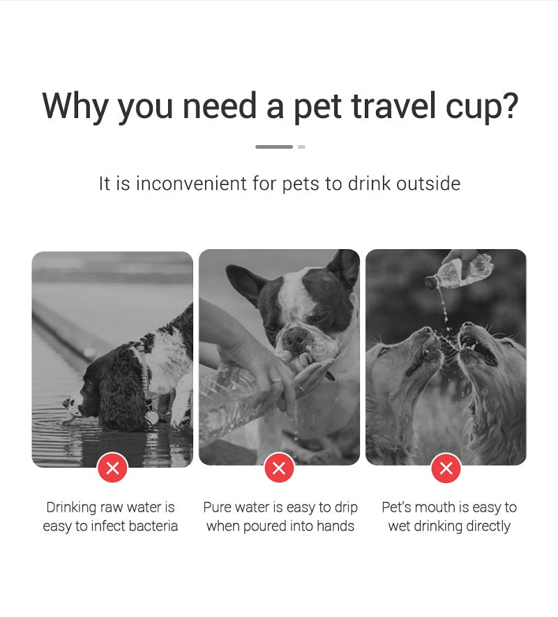 Portable Leakproof Dog Water Bottle – For Walks, Travel & Outdoor Adventures (350ml/550ml)