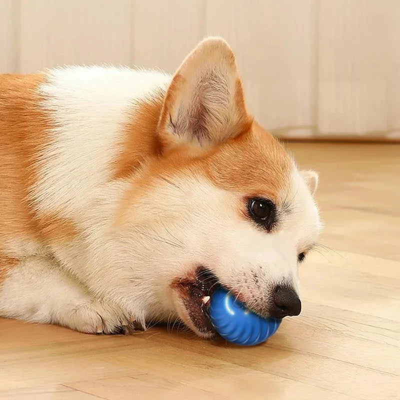 Smart Interactive Dog & Cat Toy Ball – USB Rechargeable & Motion-Activated