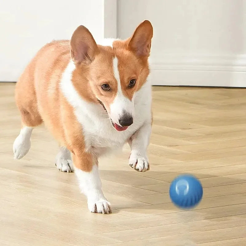Smart Interactive Dog & Cat Toy Ball – USB Rechargeable & Motion-Activated