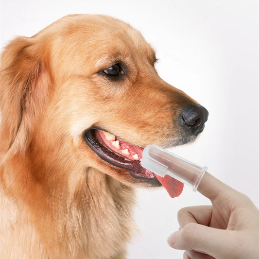 Super Soft Finger Toothbrush for Dogs & Cats – Gentle Pet Dental Cleaner