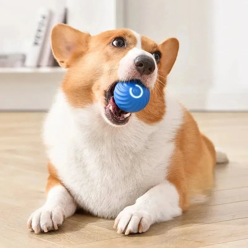 Smart Interactive Dog & Cat Toy Ball – USB Rechargeable & Motion-Activated