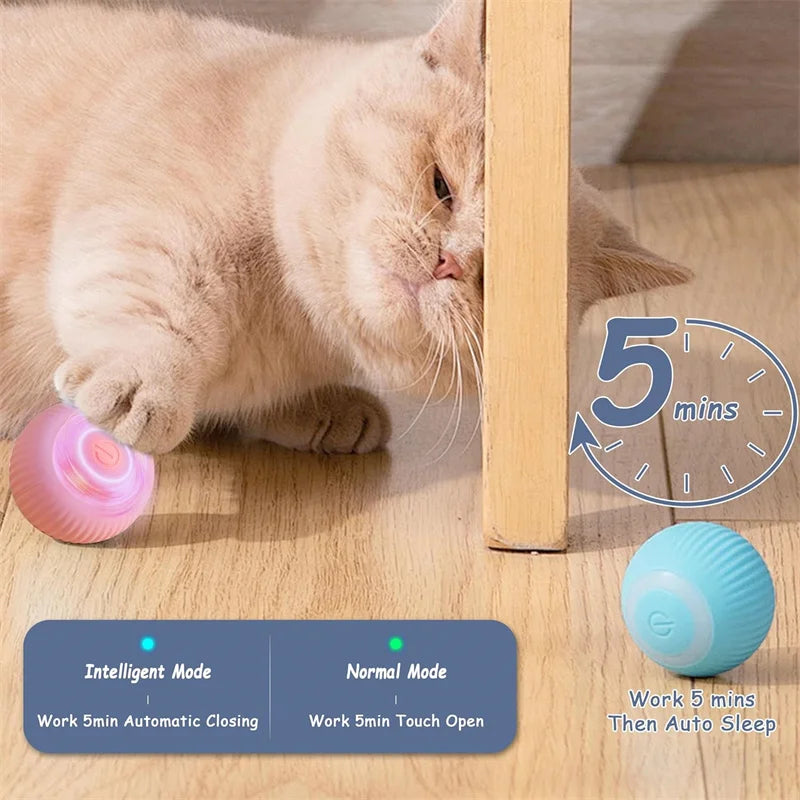 Smart Interactive Dog & Cat Toy Ball – USB Rechargeable & Motion-Activated